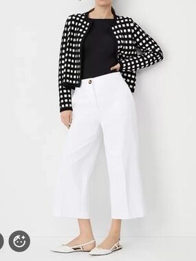 NWT Ann Taylor Kate High Rise Wide Leg Crop Trouser Pant Minimalist White 12